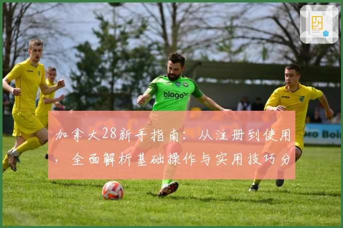 加拿大28新手指南：从注册到使用，全面解析基础操作与实用技巧分享