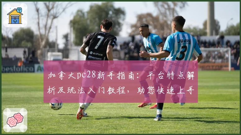 加拿大pc28新手指南：平台特点解析及玩法入门教程，助您快速上手
