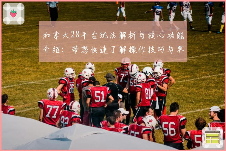 加拿大28平台玩法解析与核心功能介绍：带您快速了解操作技巧与界面体验！