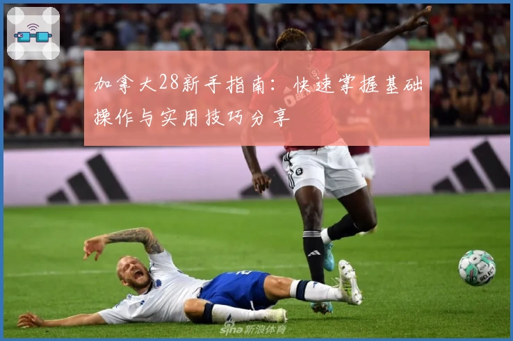 加拿大28新手指南：快速掌握基础操作与实用技巧分享