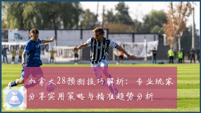 加拿大28预测技巧解析：专业玩家分享实用策略与精准趋势分析