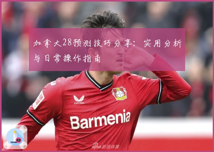 加拿大28预测技巧分享：实用分析与日常操作指南