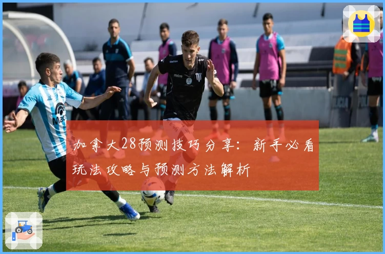 加拿大28预测技巧分享：新手必看玩法攻略与预测方法解析