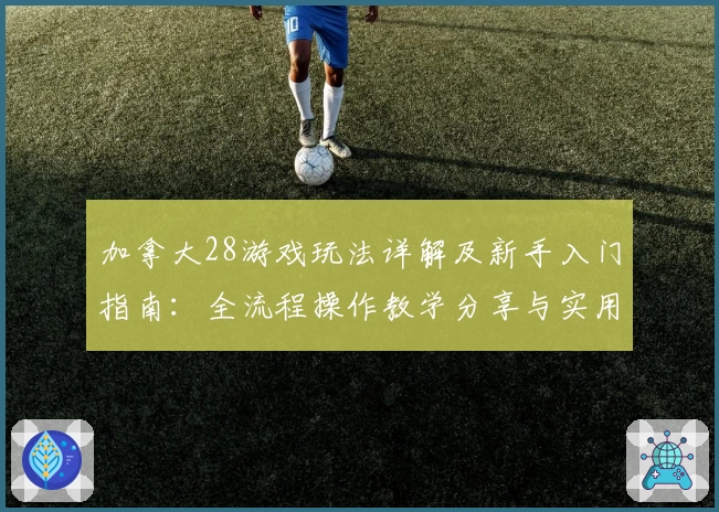 加拿大28游戏玩法详解及新手入门指南：全流程操作教学分享与实用技巧推荐