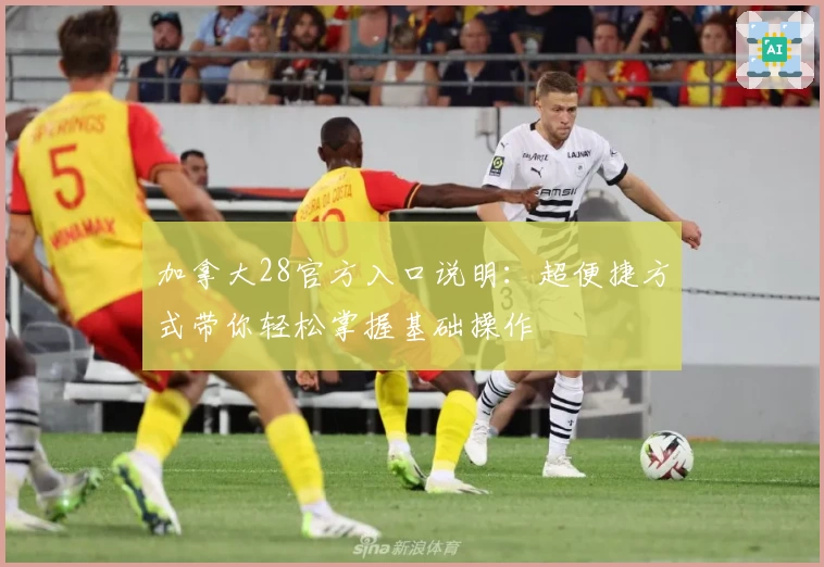 加拿大28官方入口说明：超便捷方式带你轻松掌握基础操作