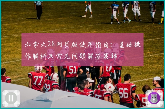 加拿大28网页版使用指南：基础操作解析及常见问题解答集锦