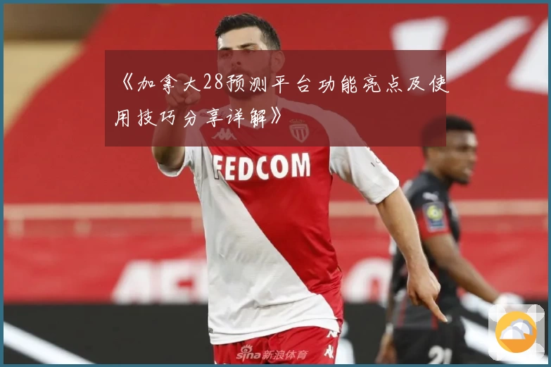 《加拿大28预测平台功能亮点及使用技巧分享详解》