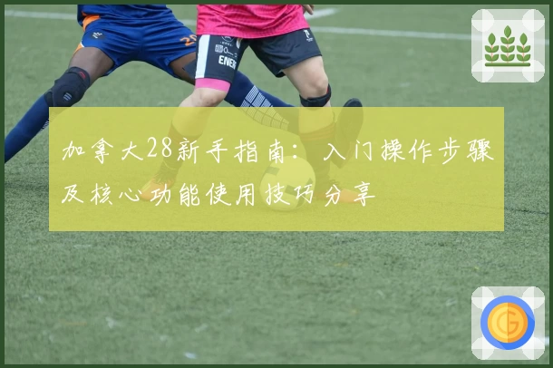 加拿大28新手指南：入门操作步骤及核心功能使用技巧分享